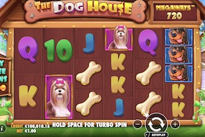 The Dog House Megaways